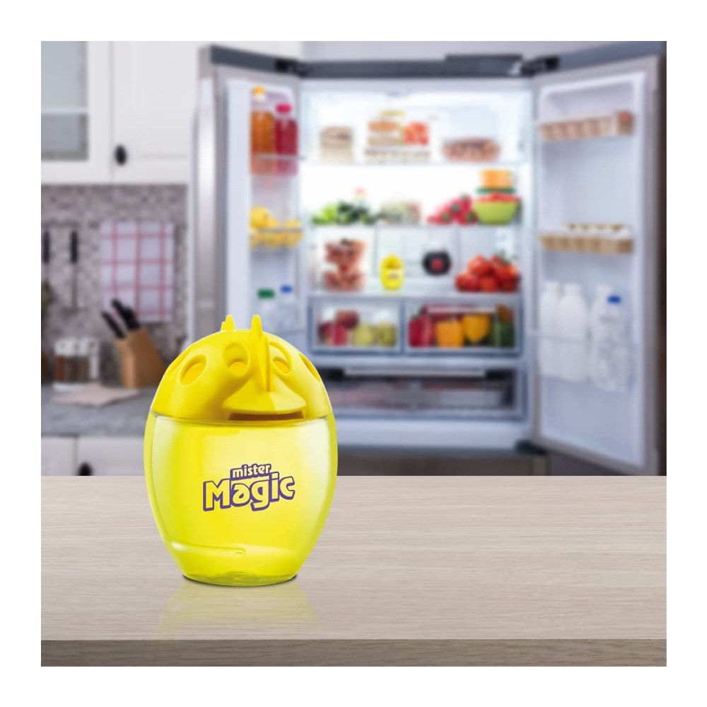 Šaldytuvo gaiviklis, 40g