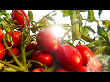 Vegetable sauce concentrate Le Verdurine, 130g